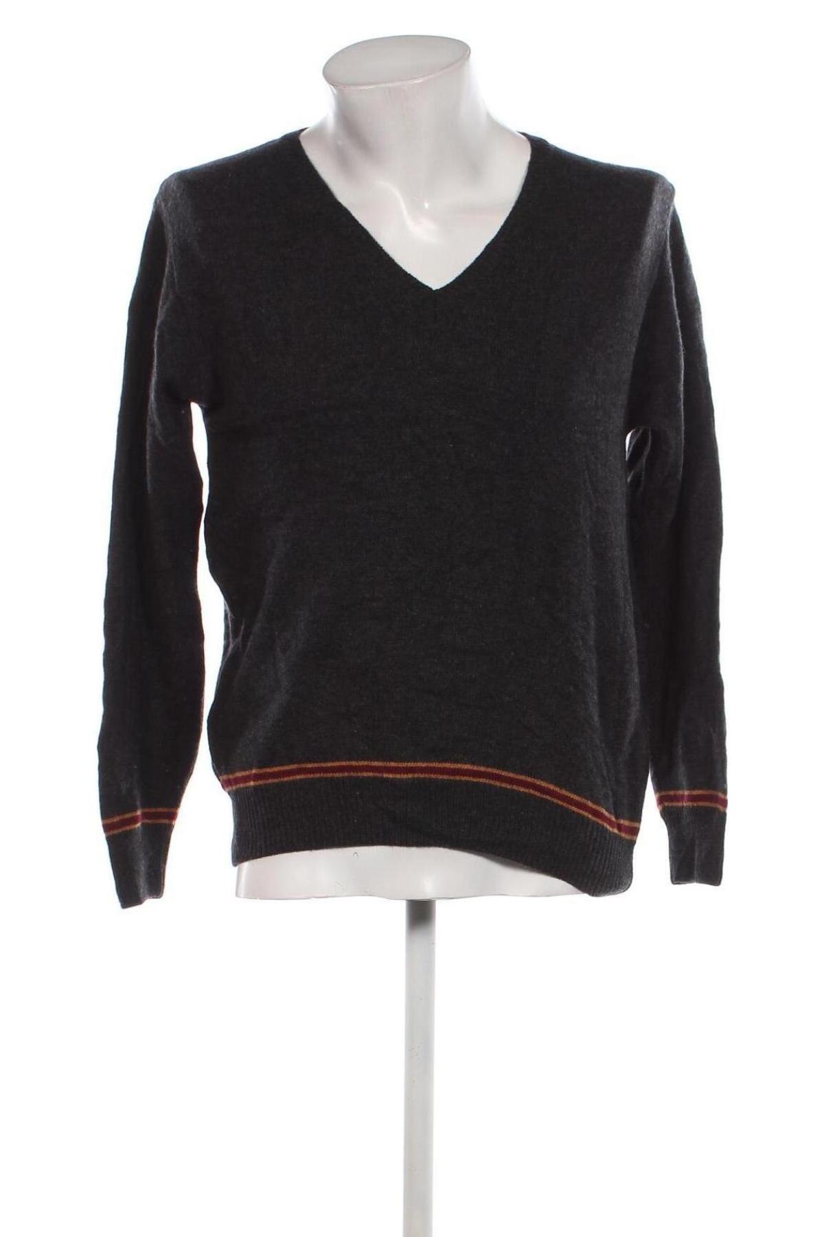Ανδρικό πουλόβερ Harry Potter, Μέγεθος M, Χρώμα Γκρί, Τιμή 11,99 €