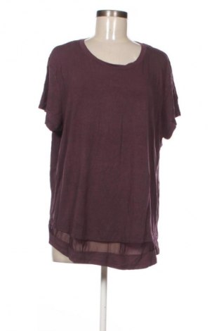 Damen Shirt Anko, Größe XXL, Farbe Lila, Preis 13,99 €