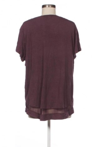 Damen Shirt Anko, Größe XXL, Farbe Lila, Preis 13,99 €