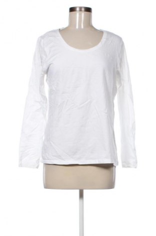 Damen Shirt Anko, Größe XL, Farbe Weiß, Preis 13,99 €