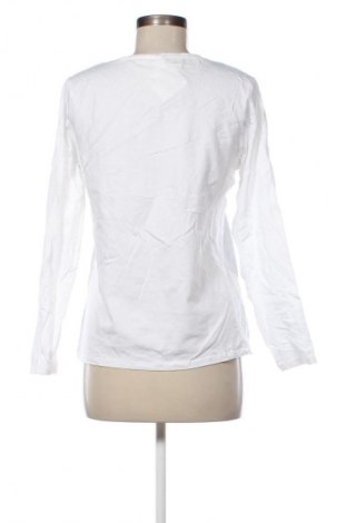 Damen Shirt Anko, Größe XL, Farbe Weiß, Preis 13,99 €