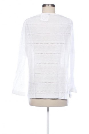 Damen Shirt Ann Taylor, Größe L, Farbe Weiß, Preis 25,00 €