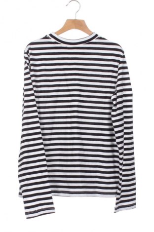 Damen Shirt Calvin Klein Jeans, Größe XS, Farbe Mehrfarbig, Preis 85,99 €