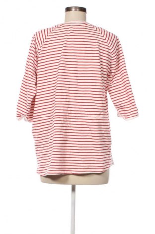 Damen Shirt Cecil, Größe XXL, Farbe Mehrfarbig, Preis 18,99 €