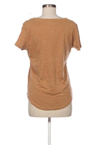 Γυναικεία μπλούζα Cotton On, Μέγεθος L, Χρώμα Καφέ, Τιμή 12,99 €