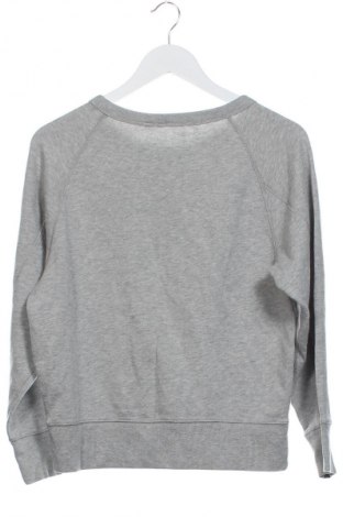 Damen Shirt Gap, Größe XS, Farbe Grau, Preis 15,58 €