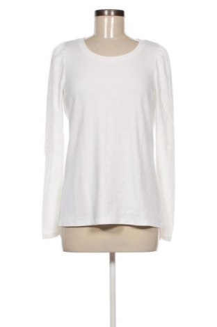 Damen Shirt Gap, Größe M, Farbe Weiß, Preis € 10,22