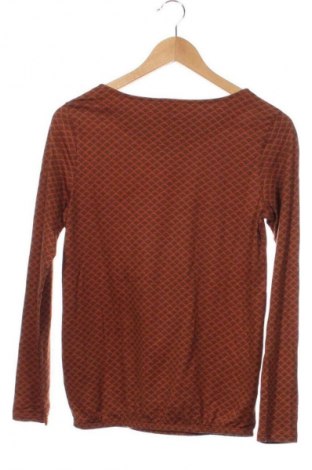 Damen Shirt Montego, Größe XS, Farbe Mehrfarbig, Preis 21,99 €