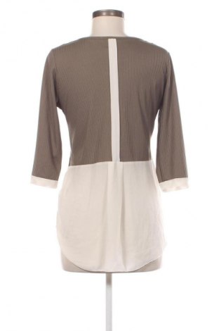 Damen Shirt Piazza Italia, Größe L, Farbe Grün, Preis 13,99 €