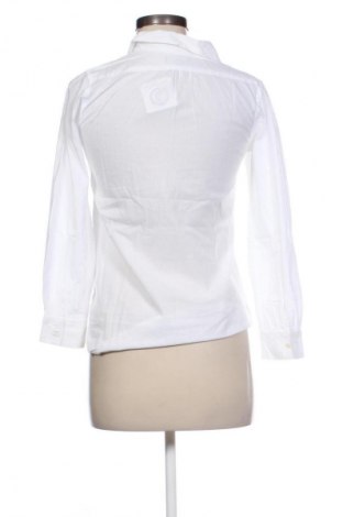 Γυναικεία μπλούζα Ralph Lauren, Μέγεθος M, Χρώμα Λευκό, Τιμή 29,99 €