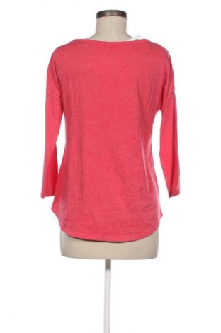 Γυναικεία μπλούζα Team Apparel, Μέγεθος M, Χρώμα Πολύχρωμο, Τιμή 18,47 €