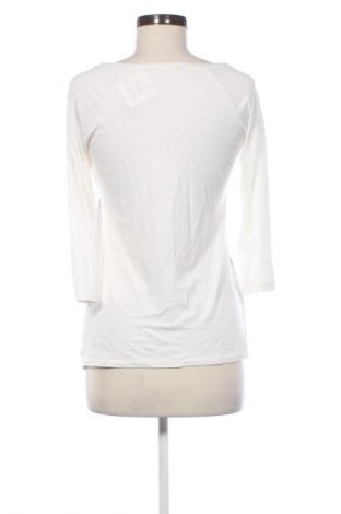 Dámska blúza Unbranded, Veľkosť XL, Farba Viacfarebná, Cena  17,90 €