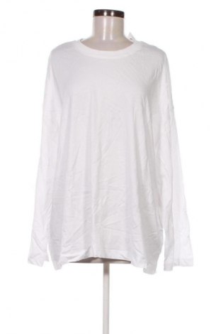 Damen Shirt Zara, Größe L, Farbe Weiß, Preis 18,99 €