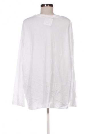 Damen Shirt Zara, Größe L, Farbe Weiß, Preis 18,99 €