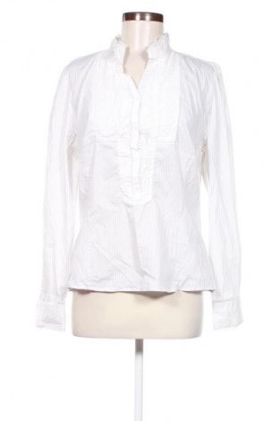 Dámska blúza Zara, Veľkosť XL, Farba Viacfarebná, Cena  9,95 €