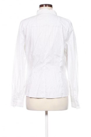 Dámska blúza Zara, Veľkosť XL, Farba Viacfarebná, Cena  9,95 €