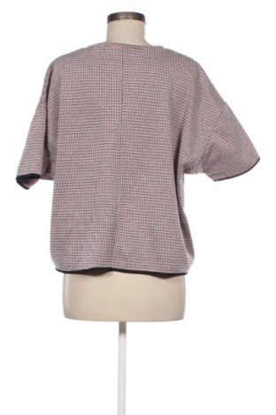 Damen Shirt Zara, Größe L, Farbe Mehrfarbig, Preis € 7,99