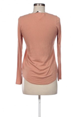 Γυναικεία ζακέτα Massimo Dutti, Μέγεθος S, Χρώμα Καφέ, Τιμή 15,99 €