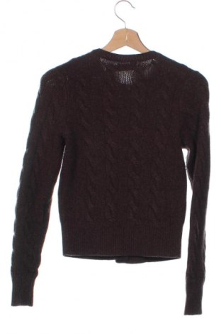 Damen Strickjacke Polo By Ralph Lauren, Größe XS, Farbe Braun, Preis € 86,99