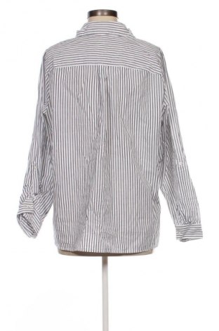 Damenbluse Basic Editions, Größe XL, Farbe Mehrfarbig, Preis € 12,79