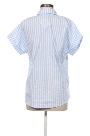 Damenbluse Christian Berg, Größe M, Farbe Mehrfarbig, Preis 53,99 €