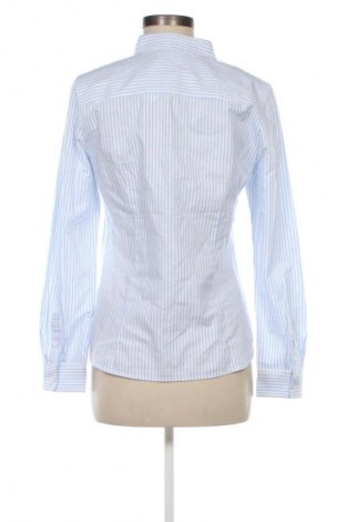 Damenbluse Christian Berg, Größe S, Farbe Mehrfarbig, Preis 53,99 €