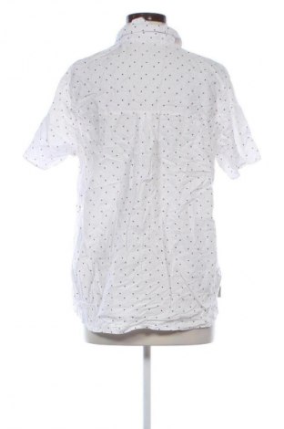 Damenbluse Craghoppers, Größe M, Farbe Mehrfarbig, Preis 33,99 €