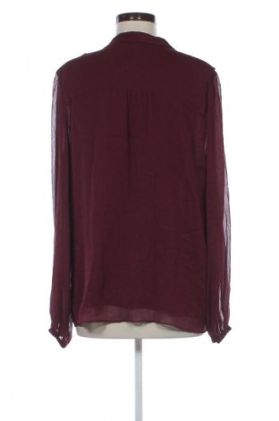 Damenbluse Forever New, Größe XL, Farbe Rot, Preis 37,99 €