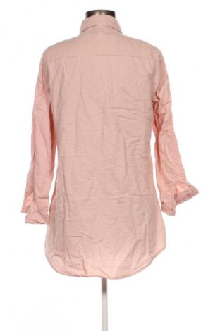 Damenbluse Haily`s, Größe L, Farbe Rosa, Preis 28,99 €