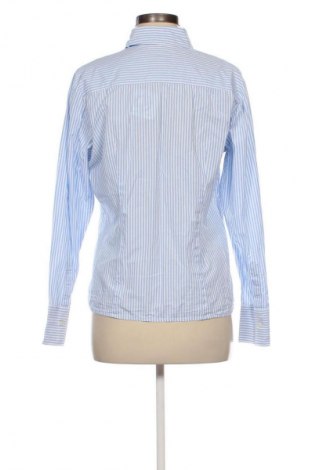 Damenbluse Polo Club, Größe M, Farbe Mehrfarbig, Preis € 17,99