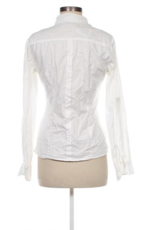 Damenbluse Terranova, Größe M, Farbe Weiß, Preis € 15,35