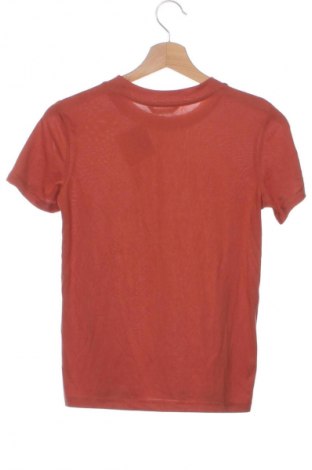 Damski T-shirt Cropp, Rozmiar XS, Kolor Brązowy, Cena 26,99 zł