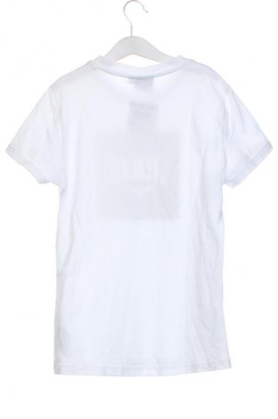 Damski T-shirt Everlast, Rozmiar XS, Kolor Biały, Cena 40,45 zł