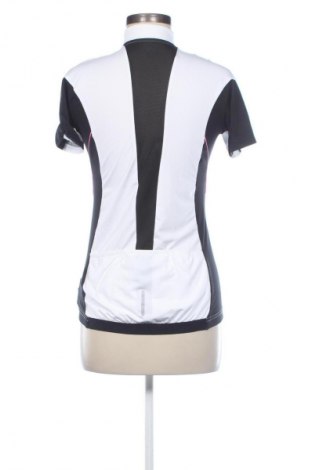 Damski T-shirt Shamp, Rozmiar S, Kolor Kolorowy, Cena 45,99 zł