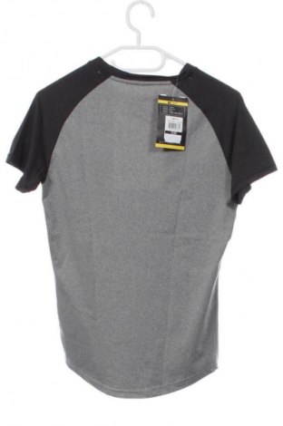 Damen T-Shirt Unbranded, Größe XXS, Farbe Grau, Preis 15,99 €