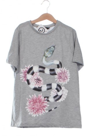 Damen T-Shirt Vero Moda, Größe XS, Farbe Grau, Preis 9,99 €