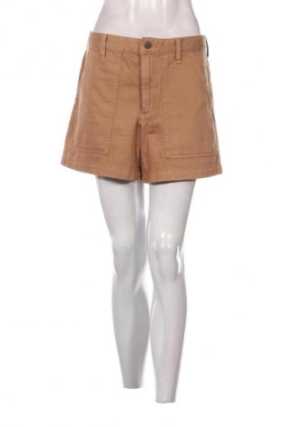 Damskie szorty Banana Republic, Rozmiar M, Kolor Brązowy, Cena 157,99 zł