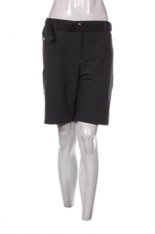 Damen Shorts CMP, Größe XL, Farbe Grau, Preis 13,99 €