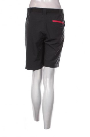 Damen Shorts CMP, Größe XL, Farbe Grau, Preis 13,99 €