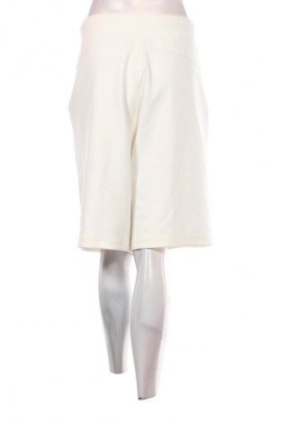 Damen Shorts Calvin Klein, Größe XXL, Farbe Weiß, Preis 142,99 €