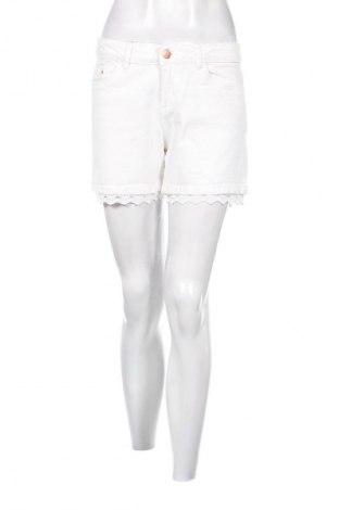 Damen Shorts Esmara, Größe S, Farbe Weiß, Preis 18,47 €