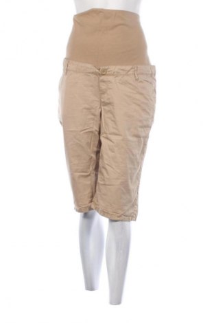 Damskie szorty Esprit, Rozmiar XL, Kolor Beżowy, Cena 55,99 zł