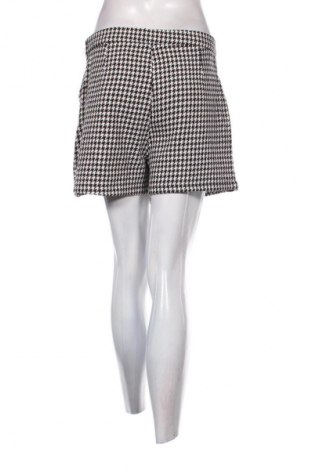 Damen Shorts Fisherfield, Größe L, Farbe Mehrfarbig, Preis € 15,02