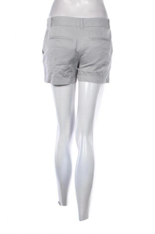 Damen Shorts Loft By Ann Taylor, Größe M, Farbe Grau, Preis 24,49 €
