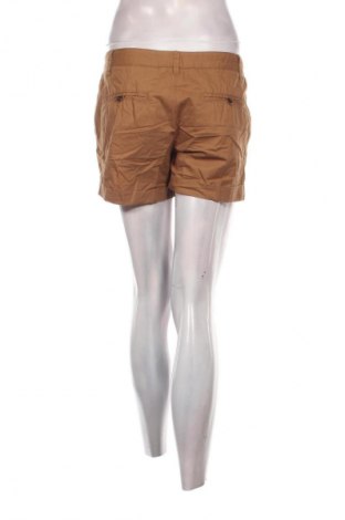Pantaloni scurți de femei Sora, Mărime L, Culoare Maro, Preț 64,99 Lei