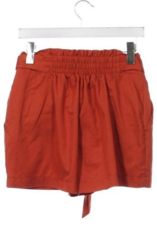 Damen Shorts Terranova, Größe XS, Farbe Braun, Preis € 9,72