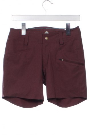 Damen Shorts Unbranded, Größe XS, Farbe Rosa, Preis 13,99 €