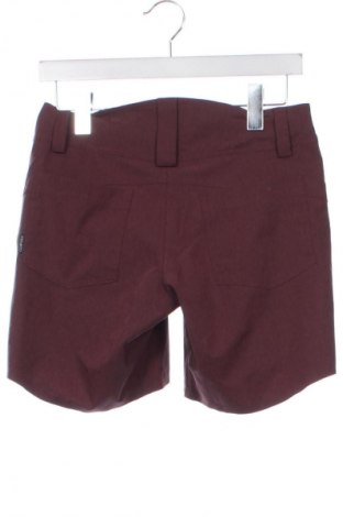 Damen Shorts Unbranded, Größe XS, Farbe Rosa, Preis 13,99 €