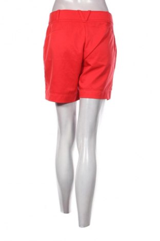 Damen Shorts Unbranded, Größe L, Farbe Rot, Preis 13,99 €