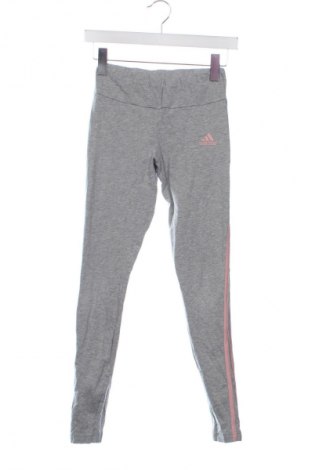 Dámské legíny  Adidas, Velikost XS, Barva Šedá, Cena  549,00 Kč